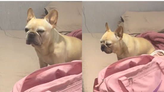 Reprodução//TikTok @brunarauena