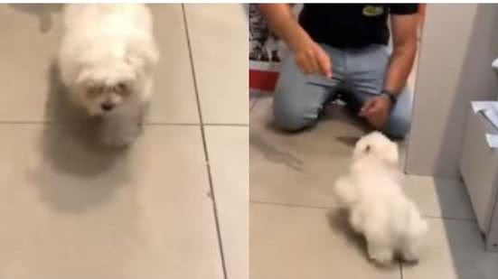Reprodução// TikTok @dalilavictoriaf