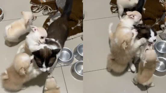 Reprodução// TikTok @giovannamiguel