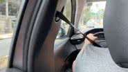Reprodução//TikTok @hannashihtzu