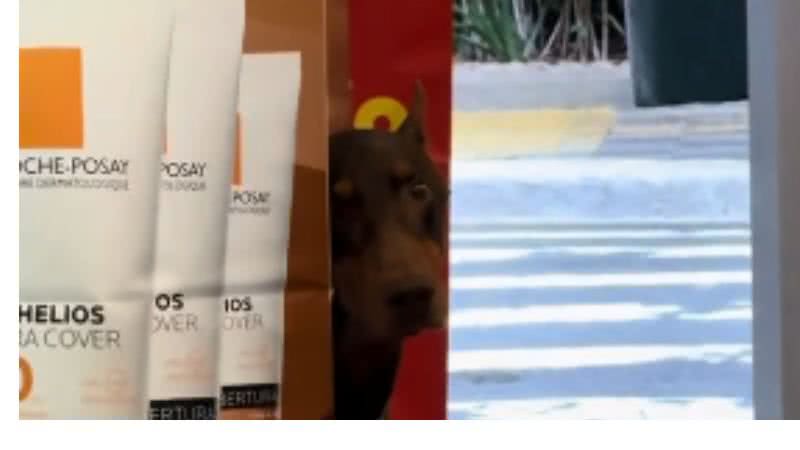 Reprodução// TikTok @gabrieldigarcia