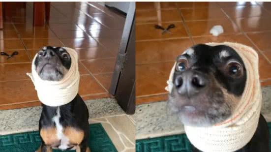 Reprodução/TikTok @julianylopess