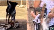 Reprodução//TikTok @_pe_duro