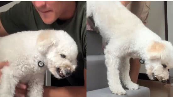 Reprodução//TikTok @aqueleph
