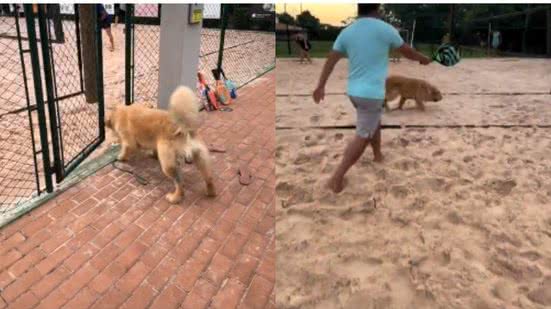 Reprodução//TikTok @rafaellaperalta