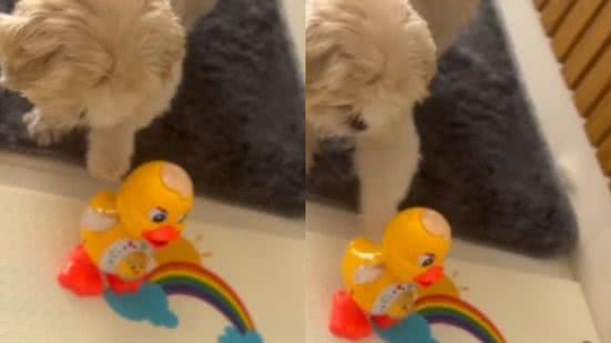 Reprodução// TikTok @osmeninosdavovo