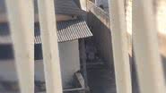 Divulgação/ PCGO