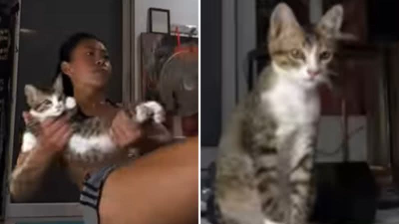 Reprodução / Redes sociais