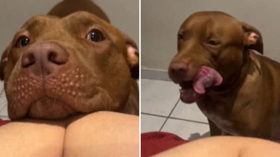 Reprodução / Redes sociais