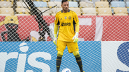Alexandre Vidal/Flamengo