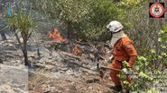 Reprodução / Corpo de Bombeiros