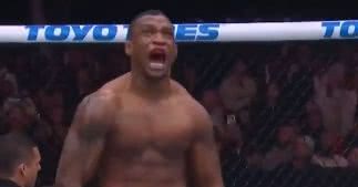 Reprodução/UFC