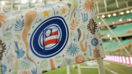 Reprodução / EC Bahia