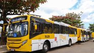 Bruno Concha/ Secom PMS