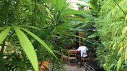 El Planteo/Divulgação