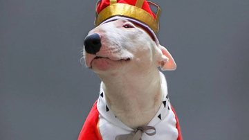 Reprodução / Redes Sociais