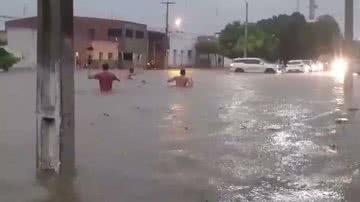 Reprodução