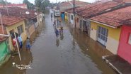 Sena produções