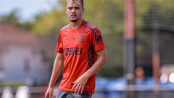 Alexandre Vidal/Flamengo