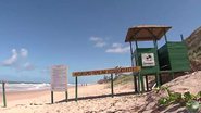 Imagem/TV Bahia