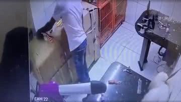 Reprodução