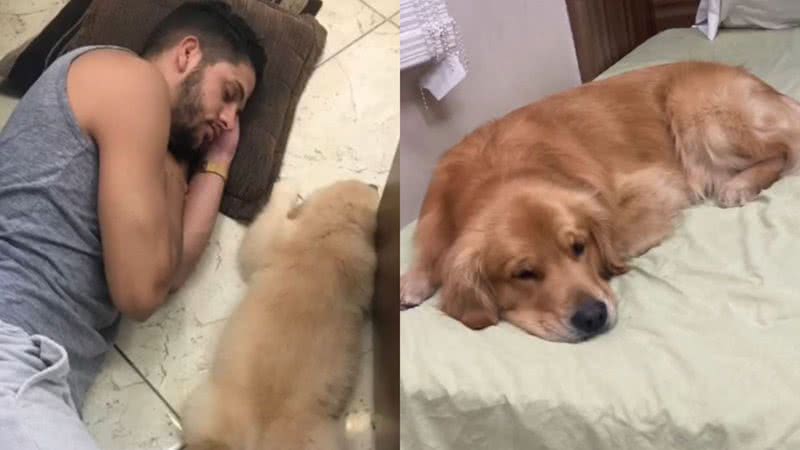 Reprodução/TikTok @jeehnetoo