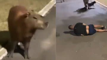 Reprodução / Tik Tok