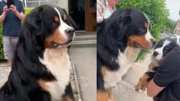 Reprodução / TikTok