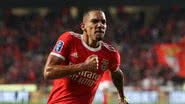 Divulgação/Benfica