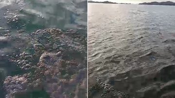 Reprodução/Vídeo