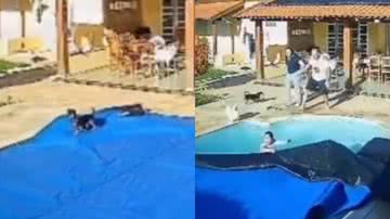 Reprodução/TikTok @vidaupgrade