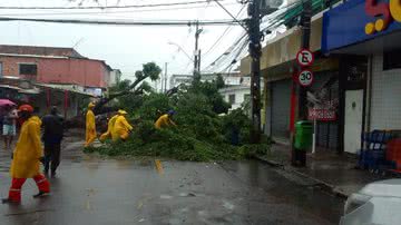 Prefeitura do Recife