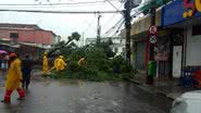 Prefeitura do Recife