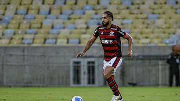 Marcelo Cortes / Flamengo
