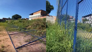 Reprodução