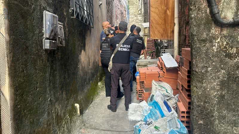Dandara Amorim | Bnews