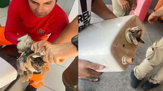 Reprodução/ Secretaria de Segurança Pública e Defesa Social do Ceará (SSPDS)