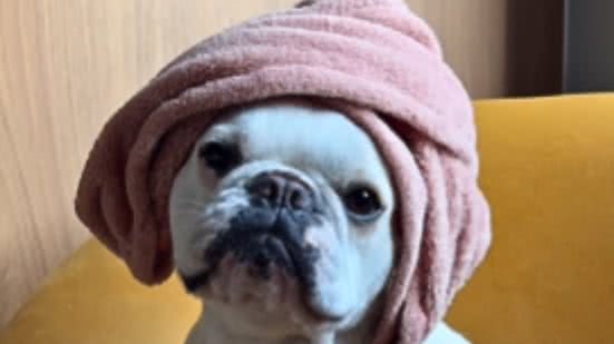 Reprodução / Instagram