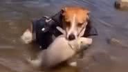 Reprodução / Redes Sociais