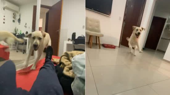 Reprodução / Instagram