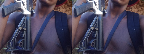 Divulgação