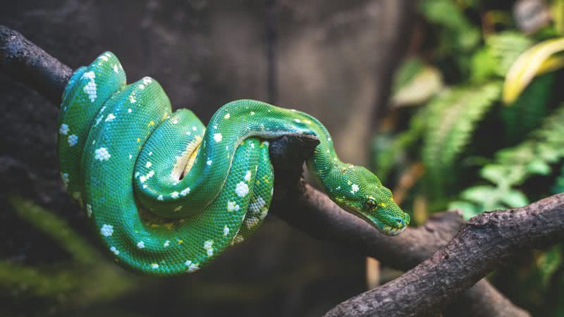 Foto de Tyler B na Unsplash
