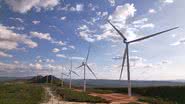 Foto: Divulgação/Pan American Energy