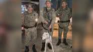 Divulgação/Polícia Militar