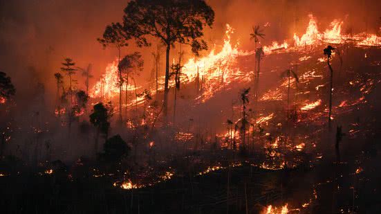Foto: Ilustração | Nilmar Lage/Greenpeace