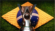 Lívia Villas Boas/CBF