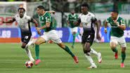 Divulgação/Palmeiras