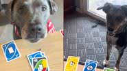 Reprodução / Tiktok