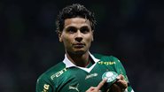 Divulgação/Palmeiras
