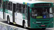 Reprodução/Ônibus Brasil